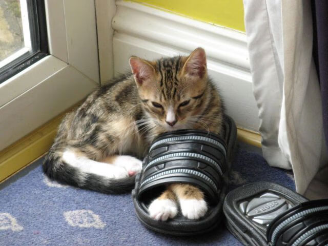 三声终场哨,切尔西用烂泥缠住枪手,争冠剧本被踩进斯坦福桥的雨夜