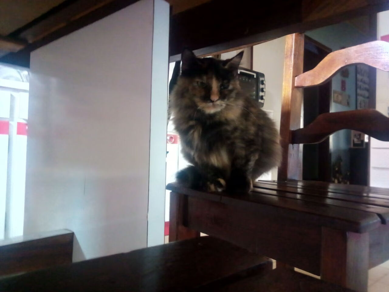 从卡塔尔沙漠到德甲绿茵，摩洛哥黑马基因如何搅动欧洲足坛格局？